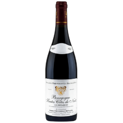 Domaine Thevenot-Le Brun Hautes Cotes De Nuits Rouge Les Renardes | Red Wine